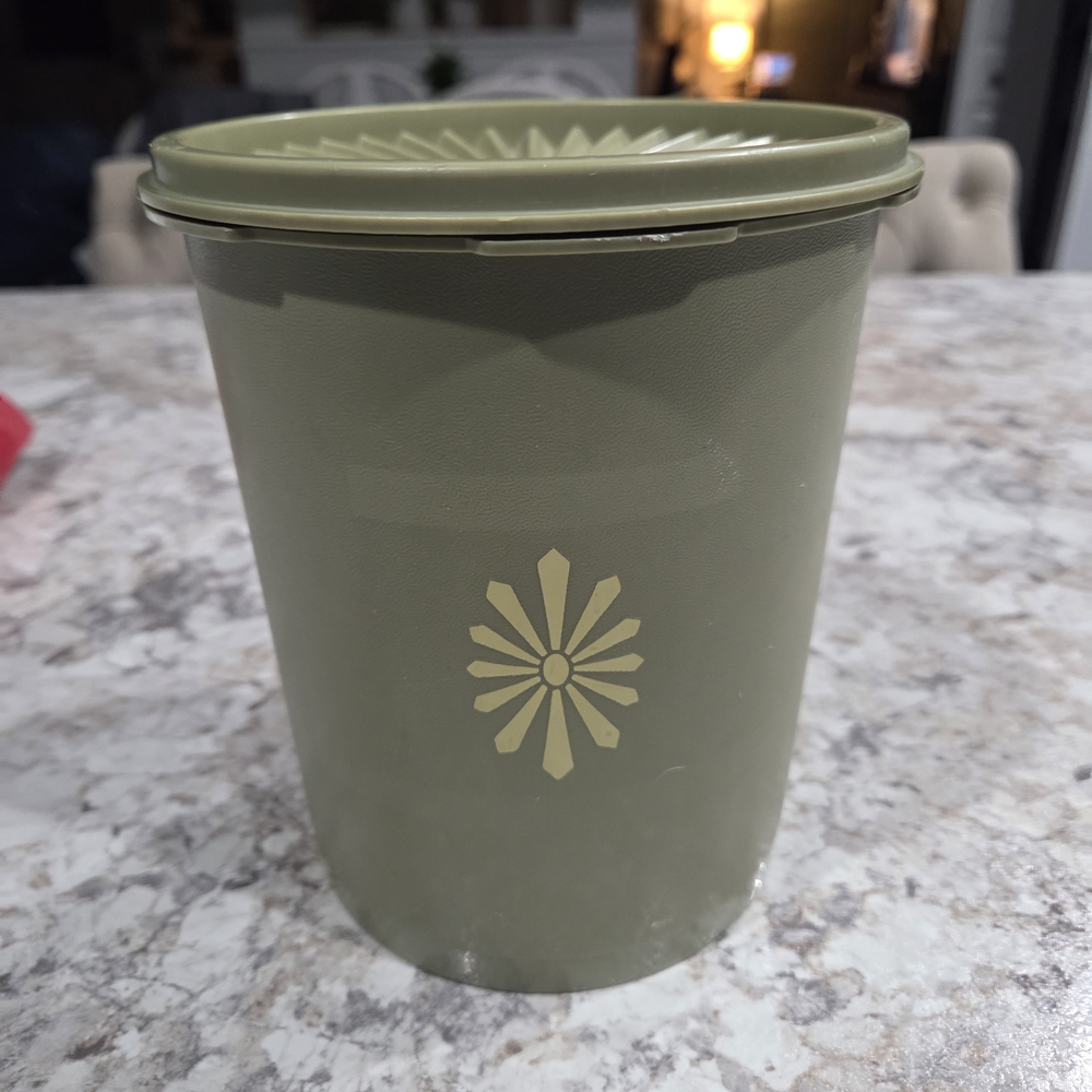Avacado 809-4 Vintage Tupperware Storage Container Cottagecore